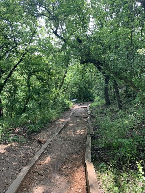 A winding dirt path through a lush green forest, surrounded by trees and foliage.