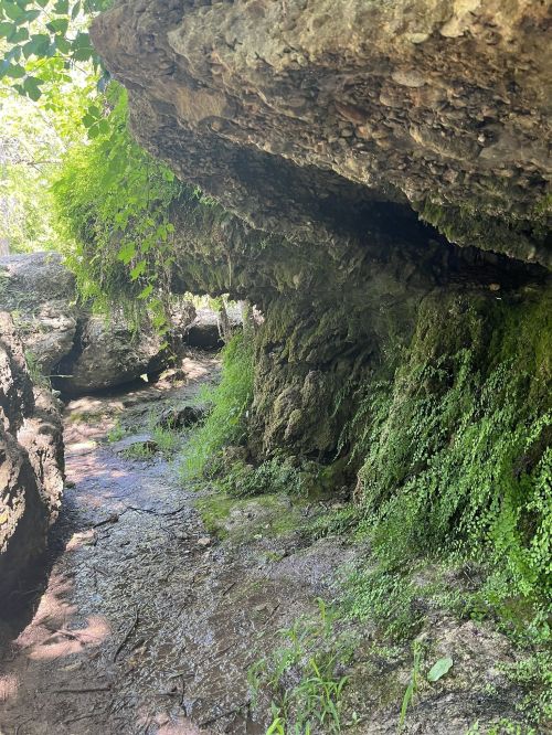 A rocky, moss-covered landscape with a small stream and lush greenery under a shaded overhang.