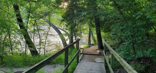 A wooden path winds through lush greenery, leading to a serene riverbank under dappled sunlight.