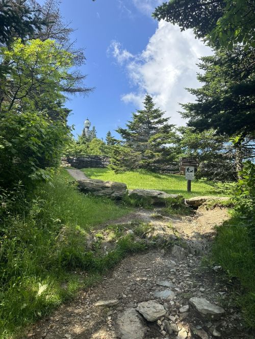 A rocky path leads through lush greenery and trees, with a signpost visible under a bright blue sky.