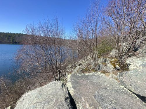 A rocky shoreline with bare trees beside a calm lake under a clear blue sky.