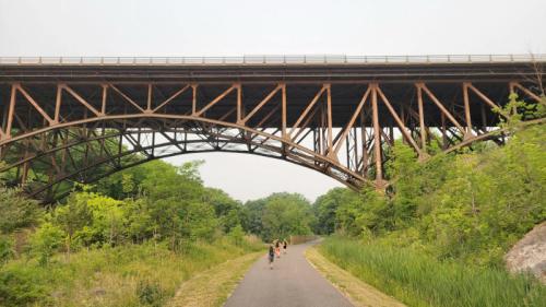 A cyclist rides along a path beneath a large, arched bridge surrounded by lush greenery.
