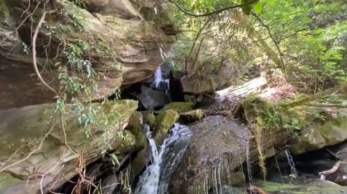 A serene waterfall cascading over rocks, surrounded by lush greenery and sunlight filtering through the trees.