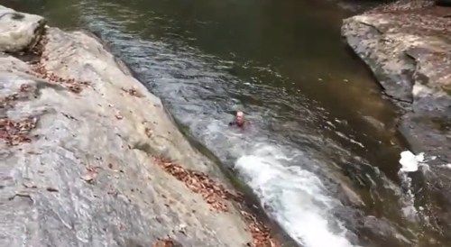 A person swimming in a natural stream surrounded by rocky banks and autumn leaves.