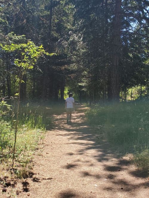 A person walking along a sunlit path through a dense forest, surrounded by tall trees and greenery.