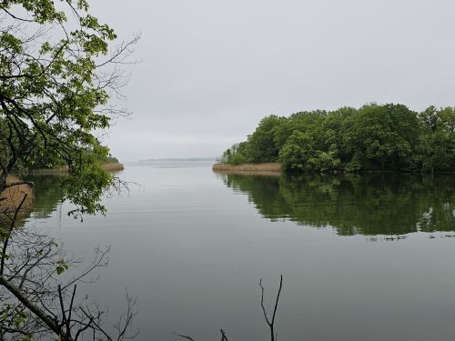 A calm, reflective lake surrounded by lush greenery and a cloudy sky.