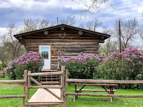 A rustic log cabin surrounded by blooming lilac bushes and a wooden fence, set against a cloudy sky.