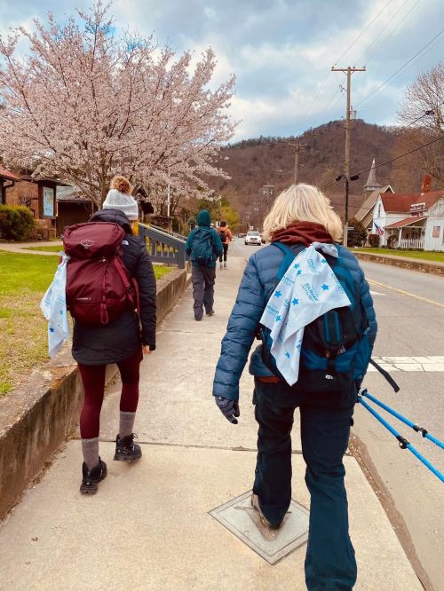 A group of hikers with backpacks walking along a street lined with cherry blossom trees and mountains in the background.