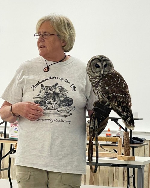 A woman in a gray t-shirt holds a barred owl on her arm, standing in a classroom setting.