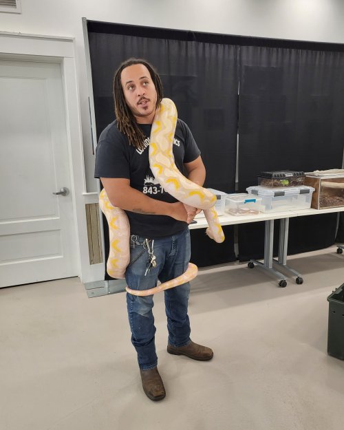 A person with long hair holds a large yellow snake around their shoulders in a room with tables and containers.
