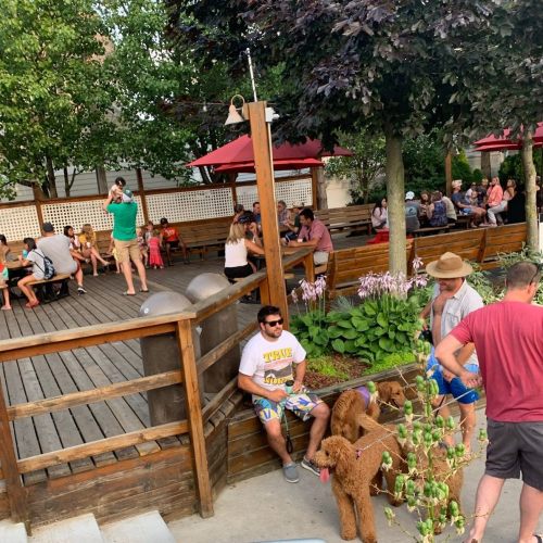 A lively outdoor scene with people sitting at tables, a dog on a leash, and greenery in a casual setting.