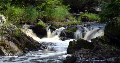 A serene river flows over rocks, surrounded by lush greenery and gentle waterfalls in a tranquil forest setting.