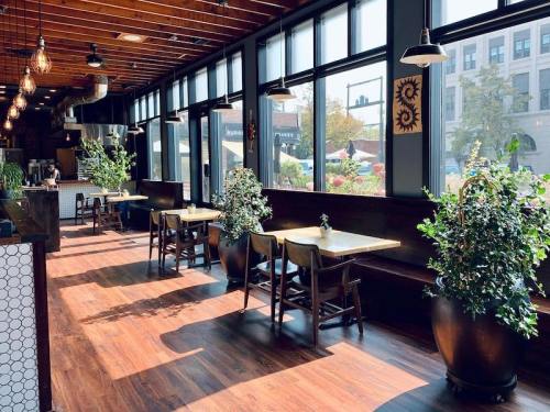 Bright, modern café interior with wooden floors, large windows, and plants, featuring tables and chairs for dining.