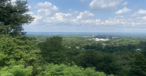view of the treetops at iroquois park in kentucky