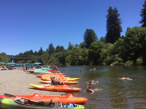 A sunny river scene with colorful kayaks lined up on the shore and people swimming and relaxing in the water.