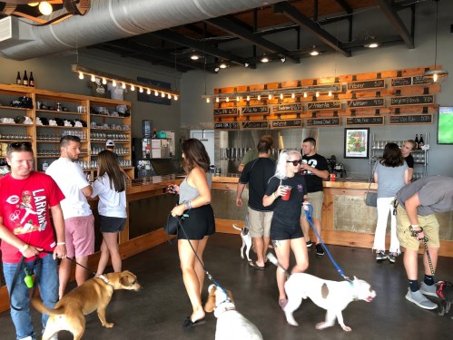 A busy bar with people and dogs, featuring a wooden counter and a menu board on the wall.
