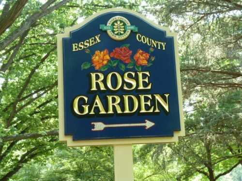 Sign for Essex County Rose Garden, featuring flowers and an arrow pointing to the right, surrounded by greenery.