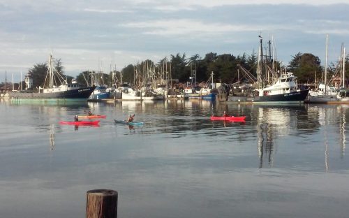 Two kayakers paddle in a calm harbor surrounded by fishing boats and a scenic waterfront.