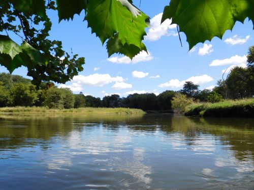 A serene river scene framed by green leaves, with blue skies and fluffy clouds reflecting on the water's surface.
