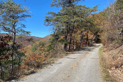 A winding gravel path surrounded by trees and autumn foliage under a clear blue sky.