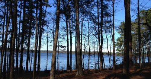 Lake Claiborne State Park in in Lousianna.
