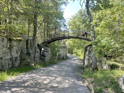 A scenic pathway through a forest with a wooden bridge arching over rocks and greenery on either side.