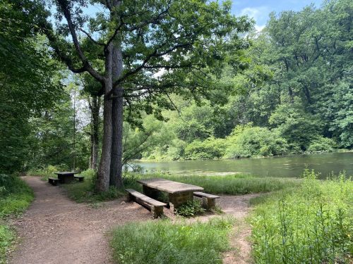 A serene riverside scene with a stone picnic table and benches surrounded by lush greenery and trees.