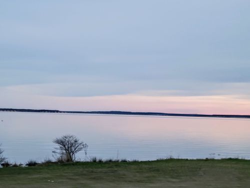 A calm lake at dusk, reflecting soft pastel colors in the sky, with a sparse tree silhouette in the foreground.