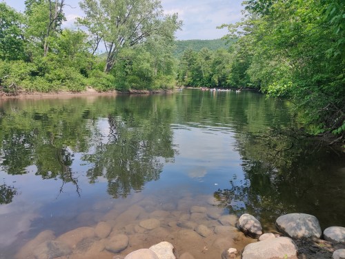 A serene river scene with clear water, surrounded by lush green trees and rocky banks under a blue sky.