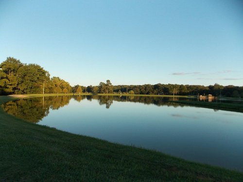 A serene lake reflecting trees and a clear sky, surrounded by lush green grass and a peaceful landscape.