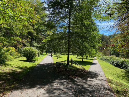 A serene park scene with two paths diverging under a large tree, surrounded by lush greenery and blue skies.