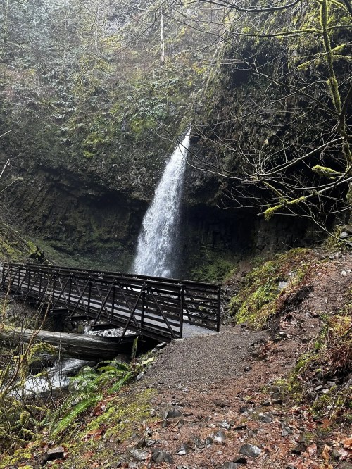 A waterfall cascades down a rocky cliff beside a wooden bridge in a lush, green forest.