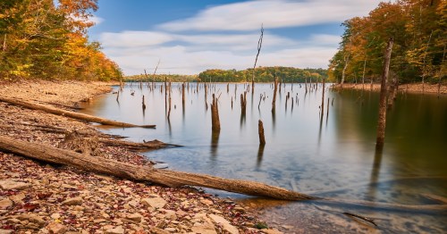 laurel river lake with tree stumps in the water and trees surrounding in the distance