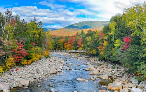 A scenic river flows through a colorful forest with autumn foliage and a bridge in the background under a blue sky.