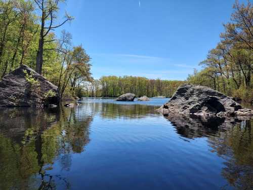 A serene lake surrounded by lush trees and large rocks, reflecting the clear blue sky on a sunny day.