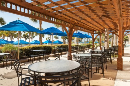 Outdoor dining area with black tables and blue umbrellas, surrounded by palm trees and a view of the beach.