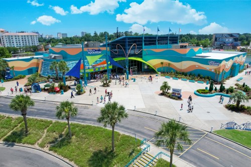 A colorful aquarium building with people outside, surrounded by palm trees and a blue sky.