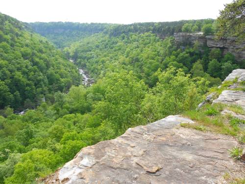 A scenic view of a lush green valley with a river winding through, framed by rocky cliffs under a clear sky.
