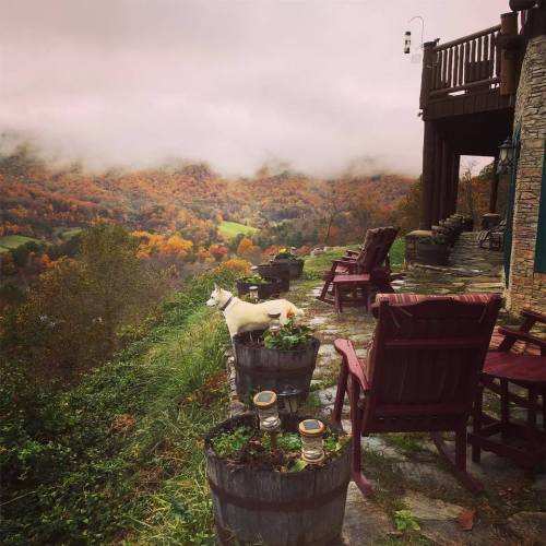A serene outdoor scene with a dog near chairs and planters, overlooking a misty valley with autumn foliage.