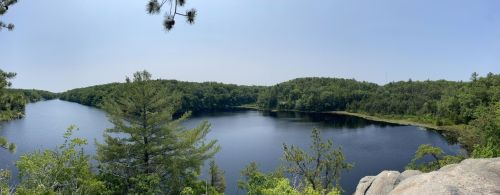 A serene panoramic view of a calm lake surrounded by lush green trees under a clear blue sky.
