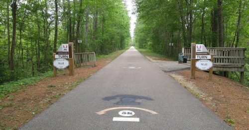 A paved path through a green forest, with signs indicating a turn and a bench on the side.