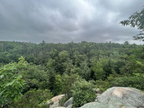 A panoramic view of a dense green forest under a cloudy sky, with rocky outcrops in the foreground.