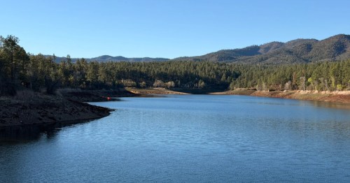 view of lynx lake in prescott arizona with pine trees along the shore