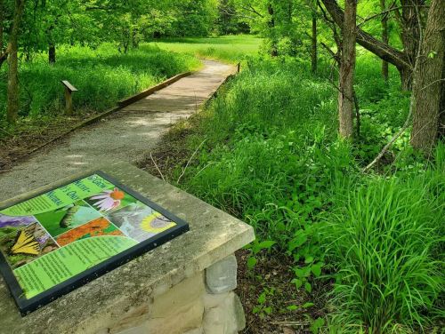 A pathway through lush greenery, with an informational sign about local flora and fauna in the foreground.
