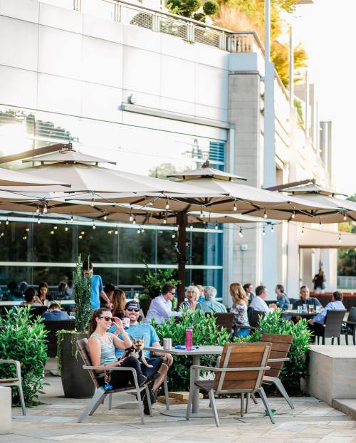 Outdoor dining scene with people seated under umbrellas, surrounded by greenery and a modern building in the background.