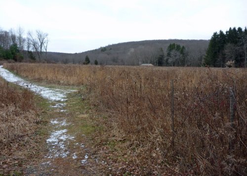 A winding path through a barren field, with distant hills and sparse trees under a cloudy sky.