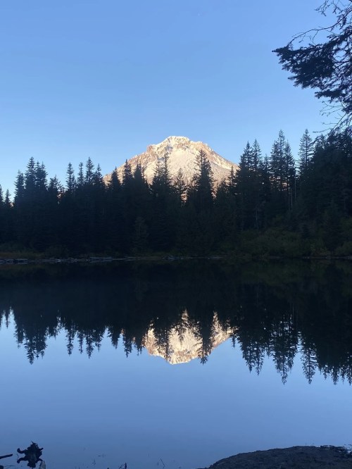A serene mountain landscape reflecting in a calm lake, surrounded by tall evergreen trees under a clear blue sky.