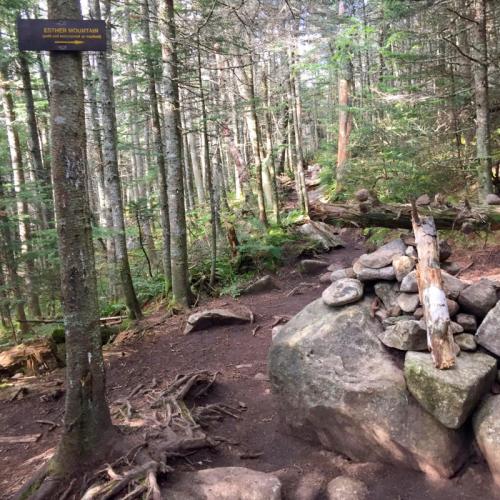 A forest trail with a sign for "Kestrel Mountain," surrounded by trees and rocky terrain.