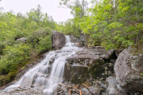 A serene waterfall cascading over rocky terrain, surrounded by lush green trees and foliage.