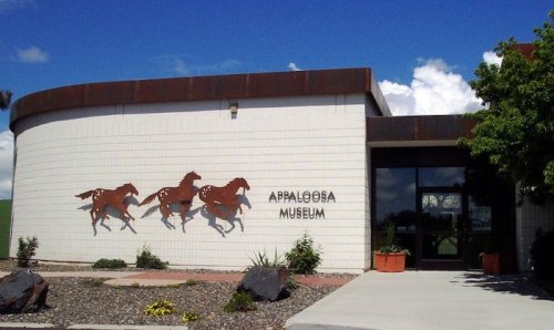 Exterior of the Appaloosa Museum featuring horse sculptures on the wall and a clear blue sky.